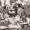 Image 33603