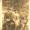 Image 34650