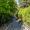 Image 60910