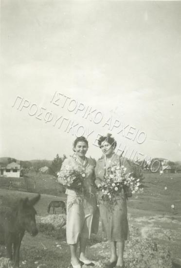 Image 30678