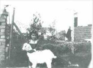 Image 29012