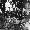 Image 15749