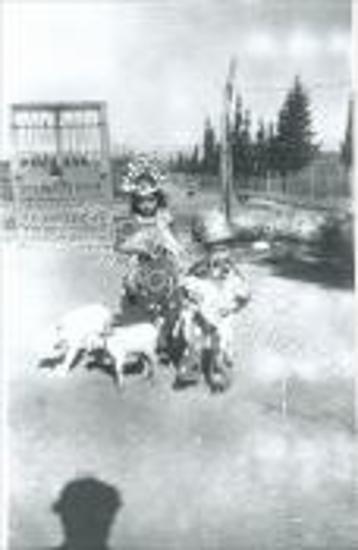 Image 30283