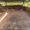 Image 19451