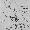 Image 15718